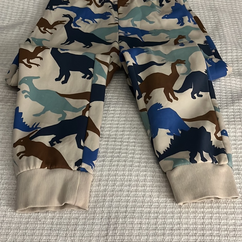 H&M Matching “Dino” Set - Picture 7 of 9